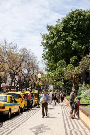 Central Funchal Apartment - Garden - Free Parking & Ac エクステリア 写真