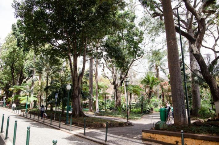 Central Funchal Apartment - Garden - Free Parking & Ac エクステリア 写真