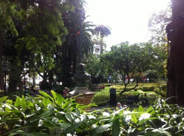 Central Funchal Apartment - Garden - Free Parking & Ac エクステリア 写真