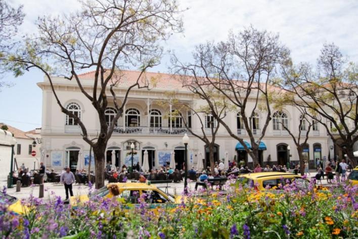 Central Funchal Apartment - Garden - Free Parking & Ac エクステリア 写真